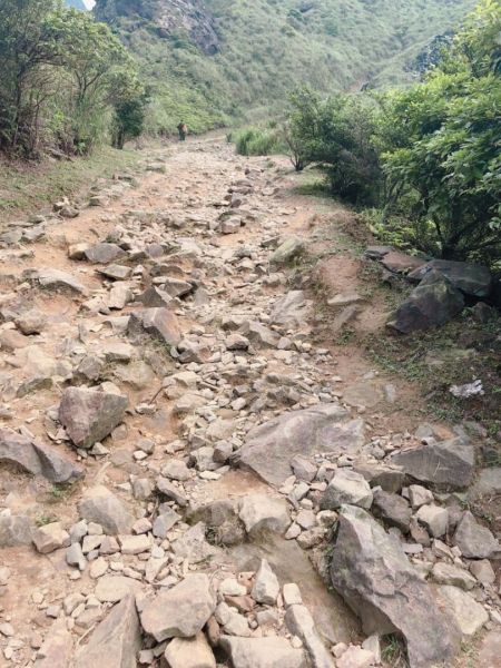 無耳茶壺山320531