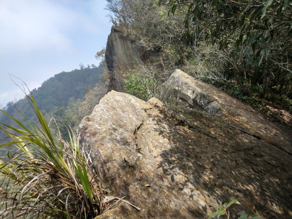 石壁山(小百岳#55)及嘉南雲峰。穿越武俠電影場景之孟宗竹林區1363350