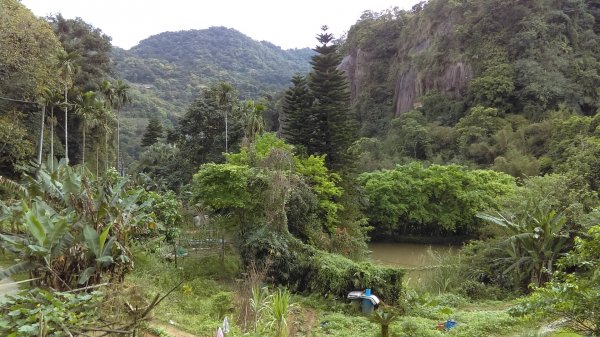 【臺北大縱走6】中華科大→九五峰→妙高臺895336