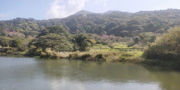 大屯自然公園，菜公坑山，巴拉卡山，逛逛趣1275486