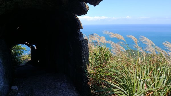 找一個晴天去爬山~金瓜石芒花之旅2962426