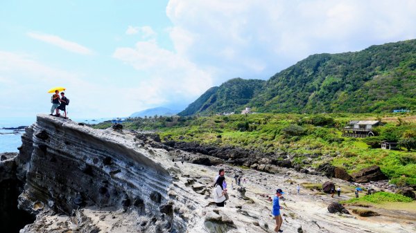 洄瀾東海岸3006678