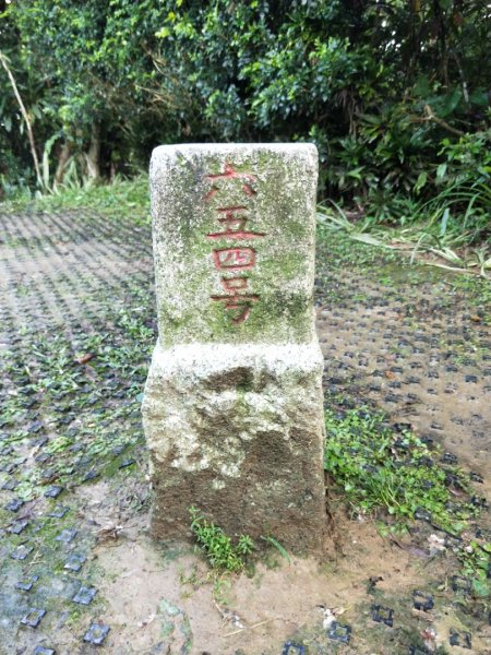 烘爐地登山步道(南勢角山)1687112