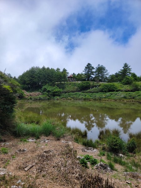 2026-0705-大雪山神木啞口健行3082578