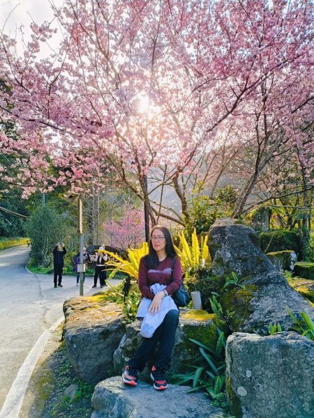 高島縱走202502152713809