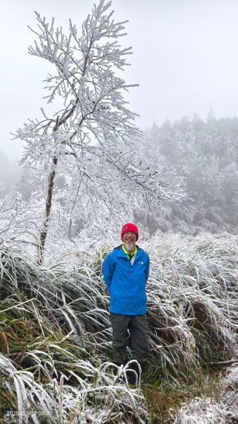 我的2025 第三場雪 #翠峰湖步道 #望洋山 #金翼白眉  2/92708848