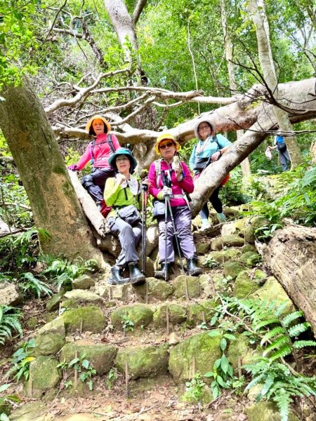 大艽芎古道縱走 新/溪州山(小百岳#23) 出溪州公園2893914