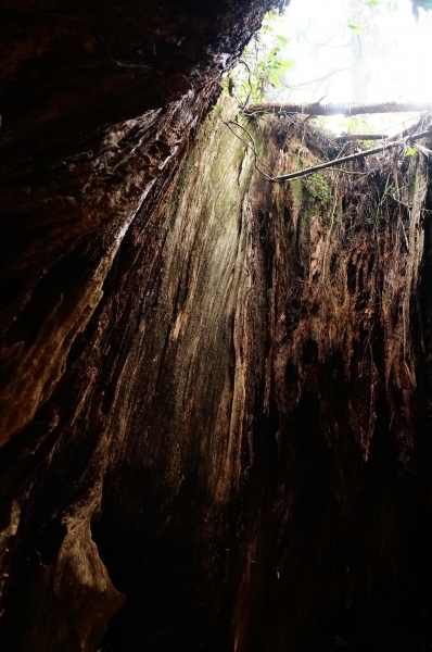 特富野古道91005