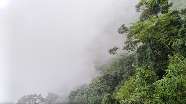 日湯真山、西大武山422618