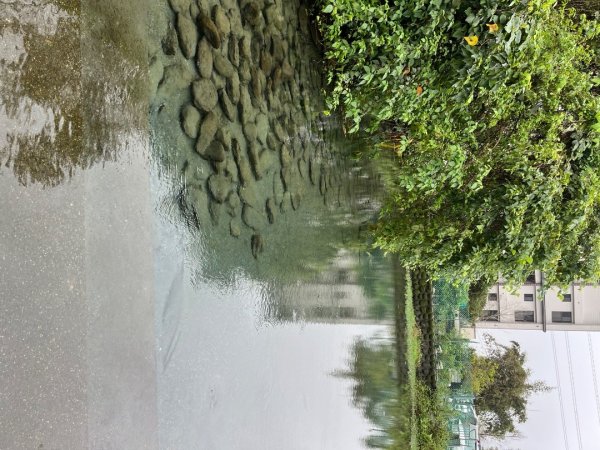 20241121_望龍埤步道