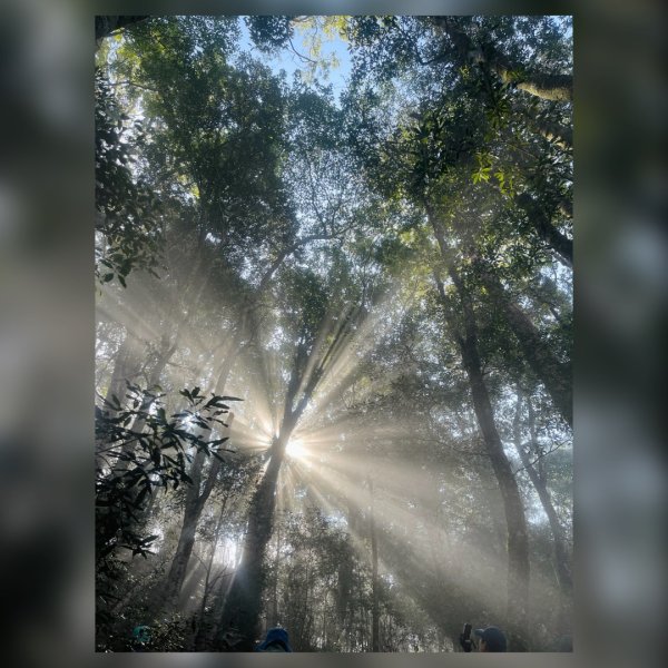 20250209 觀雪縱走2712934