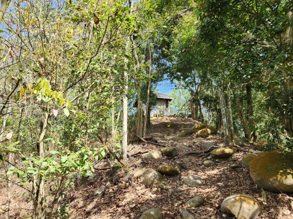 20230416大坑步道2~5+石苓湖山2175641