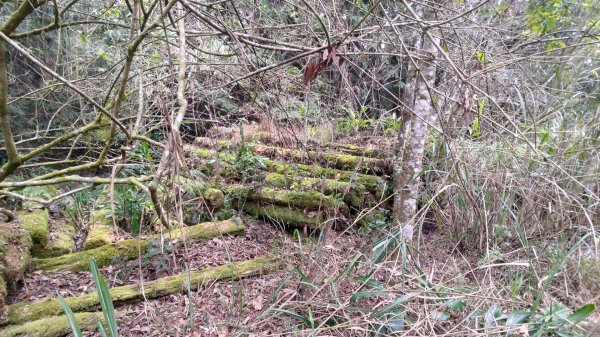 雪見遊戲區盡尾山二本松山2702687