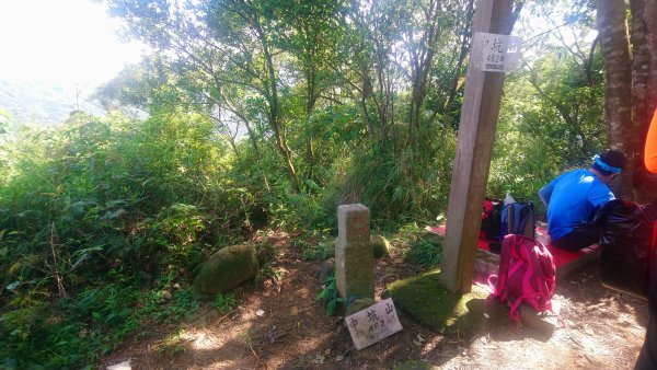 飛鳳山 觀日坪古道O型