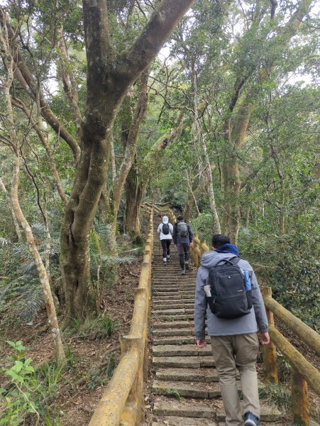 2025.01.18－仙山步道2706094