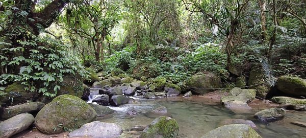 2025/10/26_馬胎古道2925731