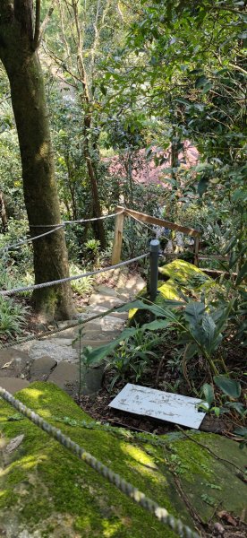 2026-0313 烘爐地步道-南勢角山-紫竹寺3015910