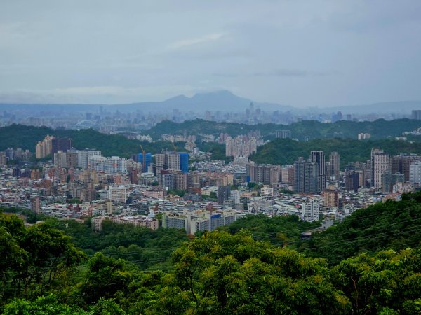 2025臺北大縱走第七段：世界山莊至飛龍步道政大後山2923995