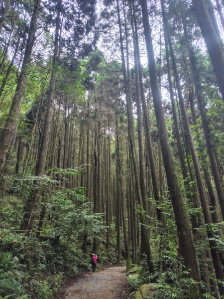 橫沙笛/橫嶺山、沙蓮山、笛吹山2799345