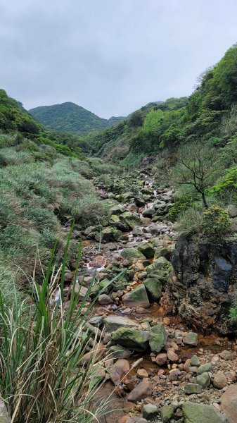 擎天崗系步道巡禮2104318