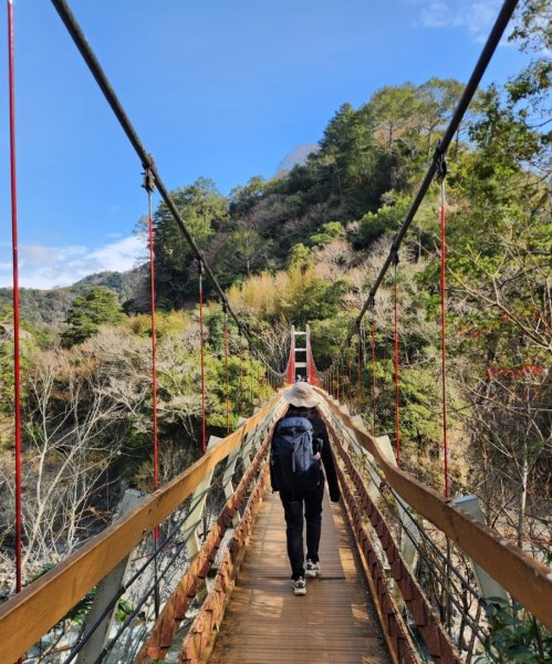 【中級山】芝生毛台山，芝生毛台山西峰，秀巒軍艦岩，屯野生步道，屯野生砲台2745173