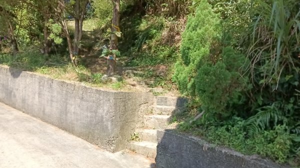 平溪區上天福安宮-粗坑頭崙-五分山西峰-五分山步道去回3088399