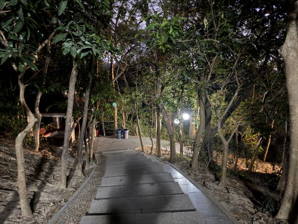 [茂名馬之行-13] 2026_0119 深圳夜景2997038