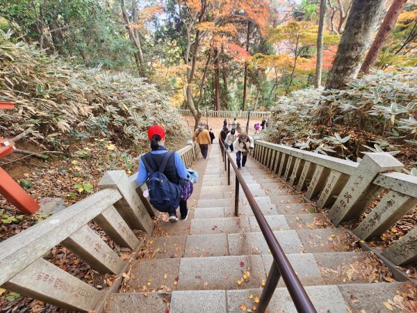 20251127陣馬山至高尾山2959106