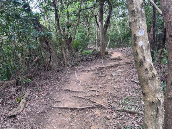 臺北大縱走第五段：捷運劍潭站至碧山巖2751315