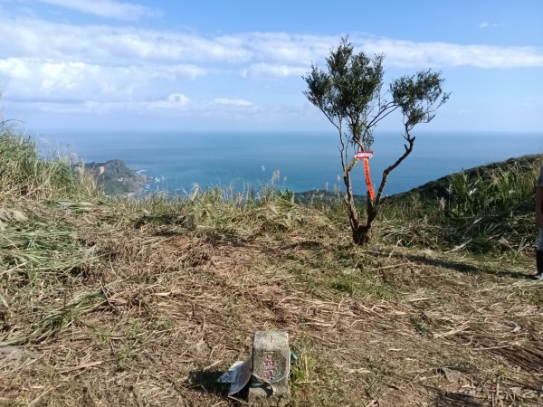 貢寮區龍洞稜(和美山)+北勢山稜線O型2958415