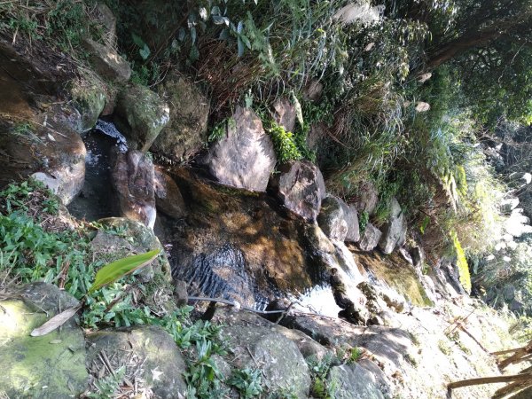 【臺北大縱走第二段】小油坑至二子坪完成1263072