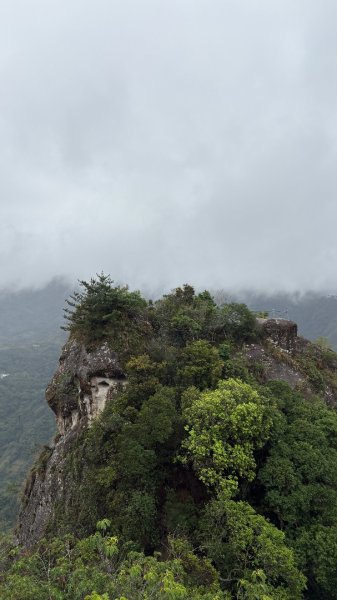 迎新（2026元旦2975602