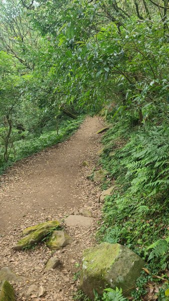 2026-0116 大屯三山_貴子坑_北投2984735