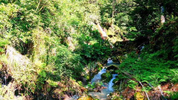 經營時間的早餐店2993551