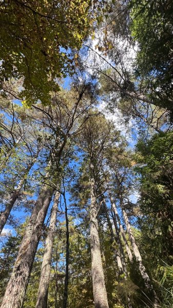 馬武霸下武陵2962345