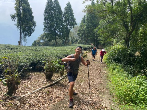 三寶山(烏心石山.鳩州嶺.尖凍山)步道【變成夢魘的大秘寶】2639849