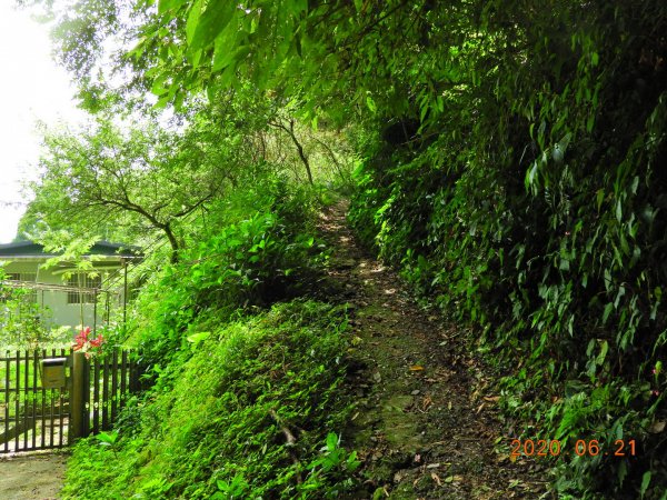 新北 烏來 大桶山1004524