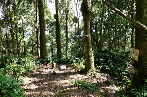 新北 烏來 烏來山、大桶山、四崁水山2829258