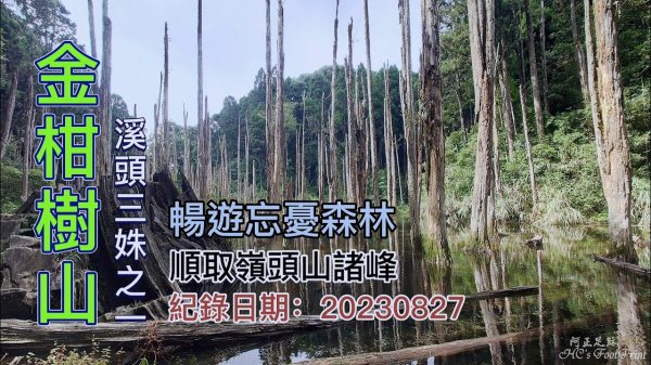 金柑樹山下忘憂森林,台灣小百岳、溪頭三姝之一、順取嶺頭山諸峰