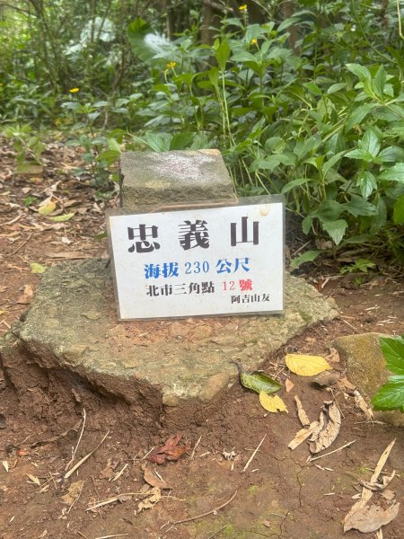 2025台北大縱走第二回合:1+2段2821302