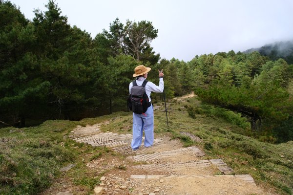 塔塔加五連峰2948772