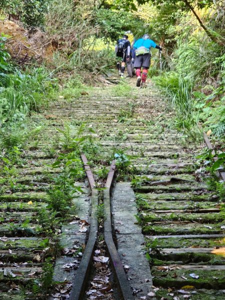 新北 瑞芳 無言的山丘2788514