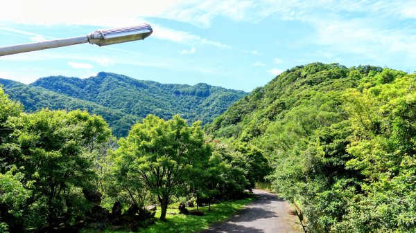 南勢坑小尖,大尖2816042