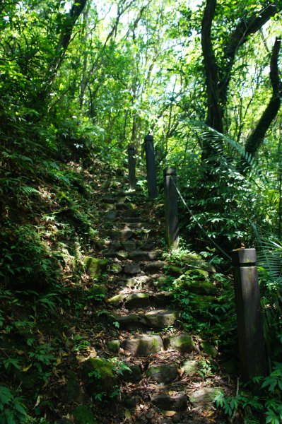 牡丹、燦光寮古道、九份1095928