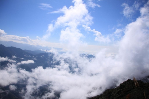 加里山賞雲海43440