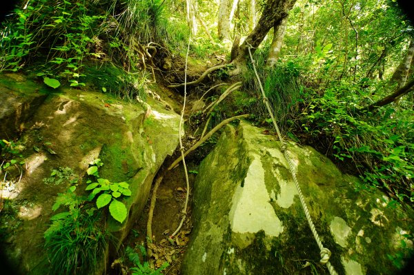 新竹 尖石 那羅山、煤源山3068659