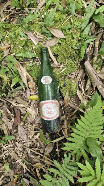 20250601梅竹蹊山-480峰-苕谷坑山2803384