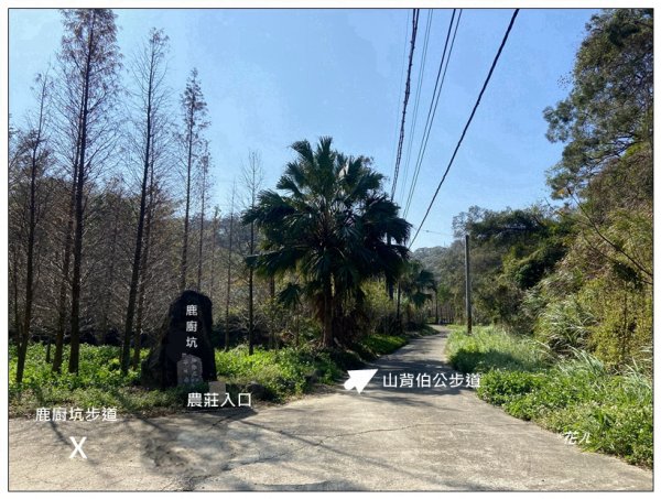 中央尖、山背伯公步道O型路線2708764