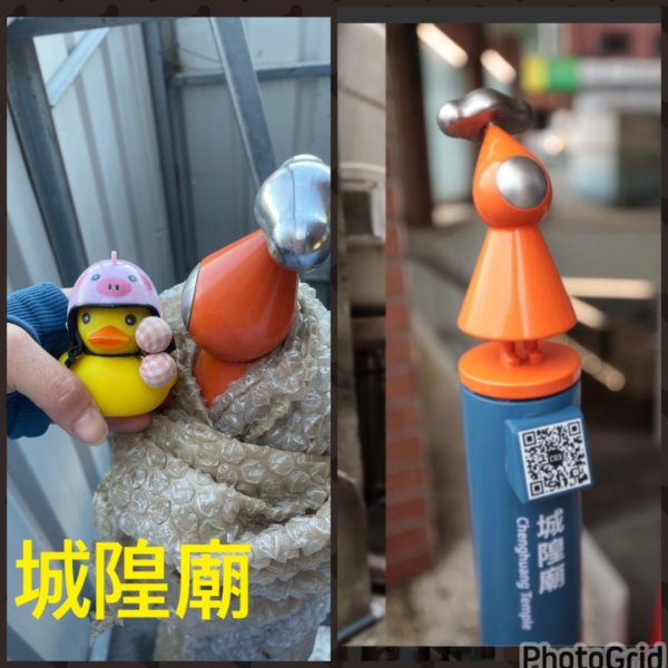 基隆尋找7隻傘人家族2712745