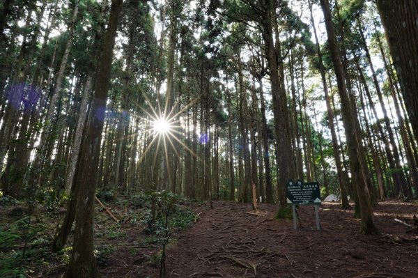 新竹 尖石 高台山、島田山2327041